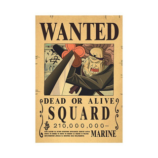 Poster one piece a3 squard