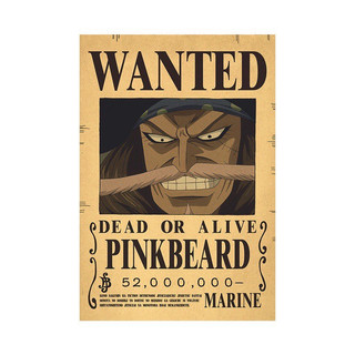 Poster One Piece A3 PinkBeard