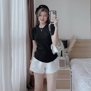 Áo thun cổ tròn bigsize 50-95kg chất gân tăm
