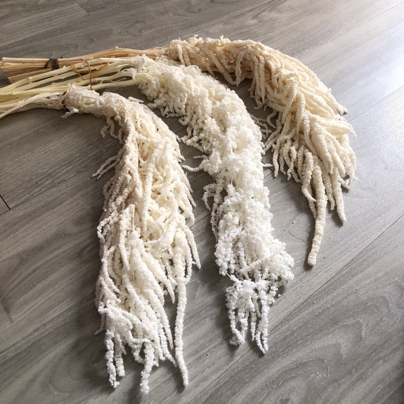 Hoa khô dền rũ, trang trí, decor chụp hình quán ăn, trà chanh, trà sữa, hộp son, quà lưu niệm