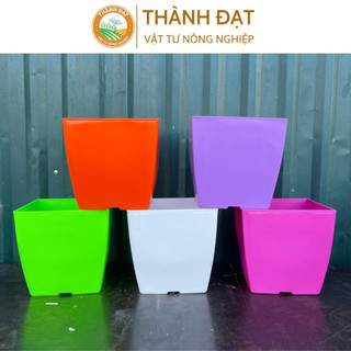 Chậu trồng cây vuông đủ màu đủ kích thước