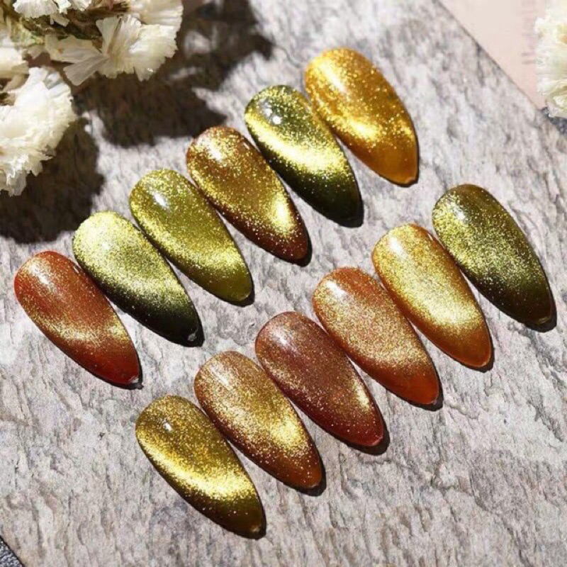 Sơn mắt mèo kim cương huaxi HK NAIL ACCESSORIES chính hãng