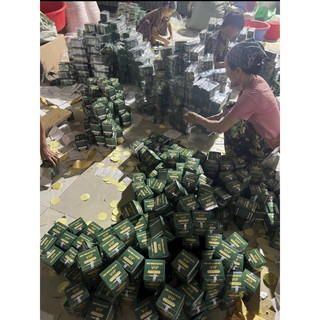 Nấm đông trùng hạ thảo