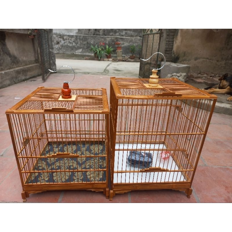 Khung lồng vuông đấu