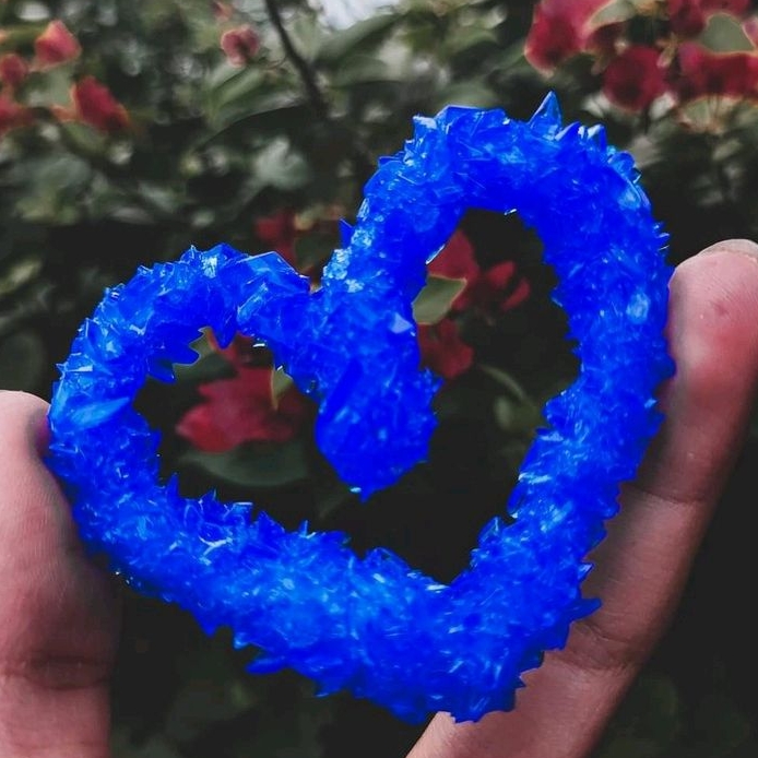 - CuSO4 kèm hướng dẫn nuôi cụ thể