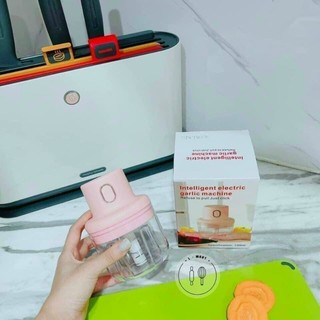 Máy Xay Tỏi Ớt Điện Mini
