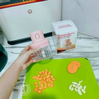 Máy Xay Tỏi Ớt Điện Mini