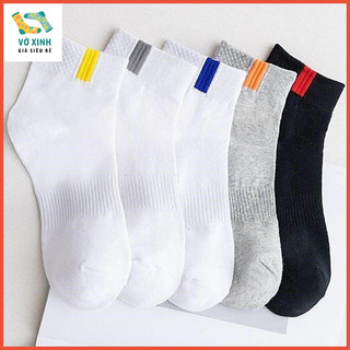 Tất vớ trắng đen basic sọc màu thể thao cổ trung cotton