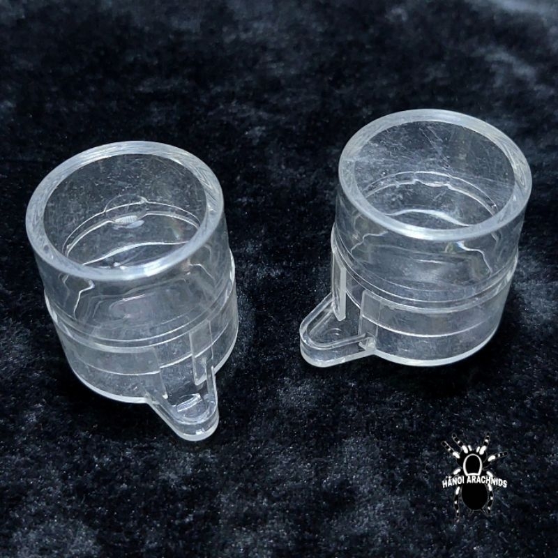 Bình nước/mật ong cho kiến
