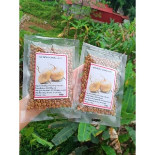 1Lạng Hạt giống củ đậu cao sản ~ 550 hạt