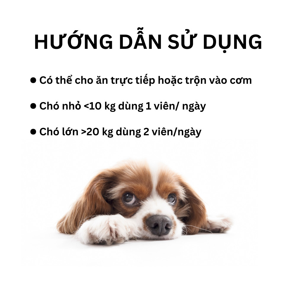 Viên Dinh Dưỡng BIOLINE - Khoáng & Vitamin Cho Chó