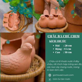 Chậu 3 Chú Chim _ Chậu gốm đất nung trồng sen đá _ Gôm sứ Sân Vườn