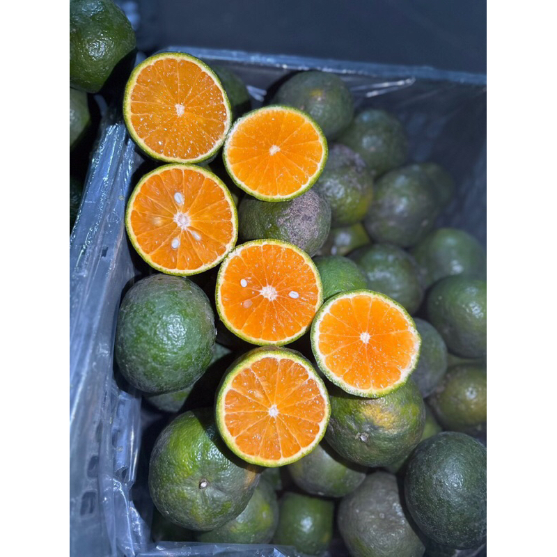 Cam sành 1 kg - Ship hoả tốc Hà Nội