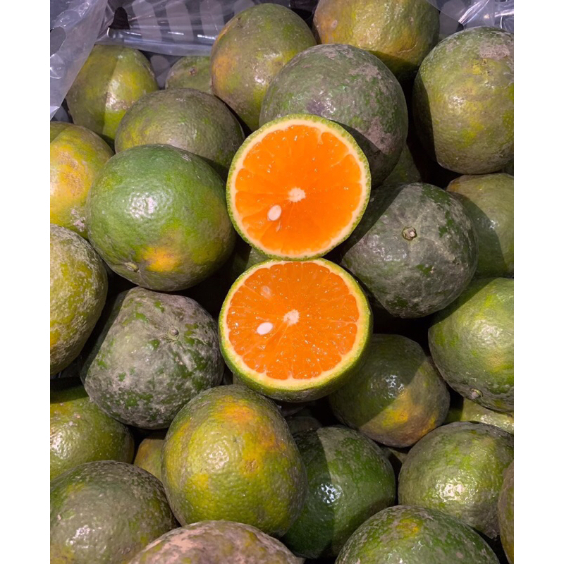 Cam sành 1 kg - Ship hoả tốc Hà Nội