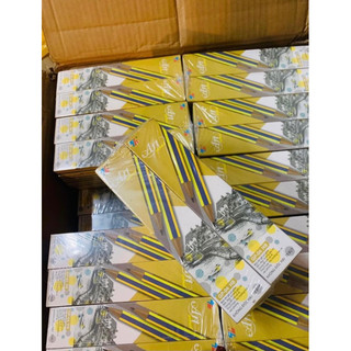 Hộp 10 Cây Chì gỗ học sinh Thiên Long HB GP-04, đầu gôm tiện lợi, thân lục giác dễ cầm nắm