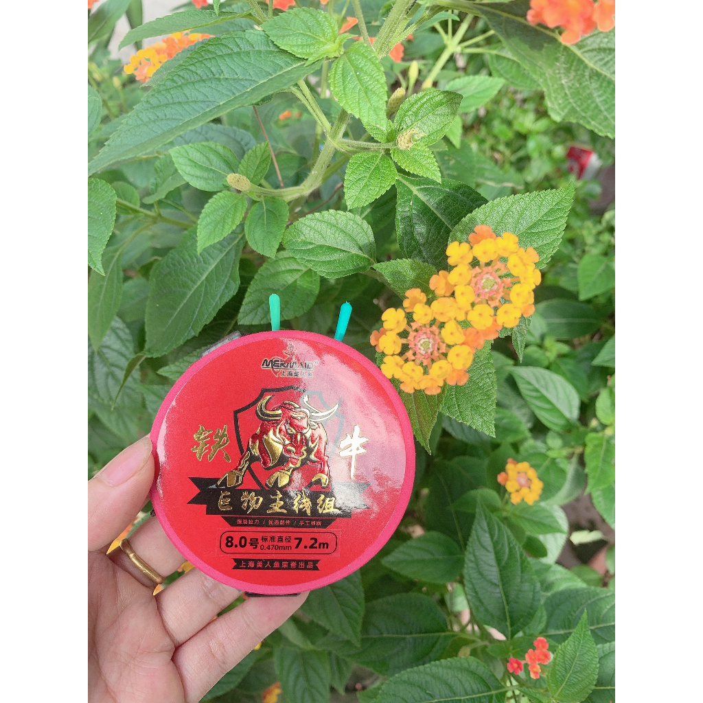 Trục câu đài buộc sẵn trục thiết ngưu săn hàng tàng hình cao cấp thich hợp câu đơn lục lure thẻo câu cá đa năng giá rẻ