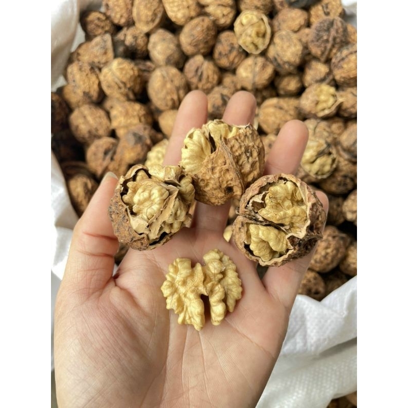 Óc chó nếp Lai Châu. trồng tại các bùng núi cao của Lai Châu. cam kết chính hãng