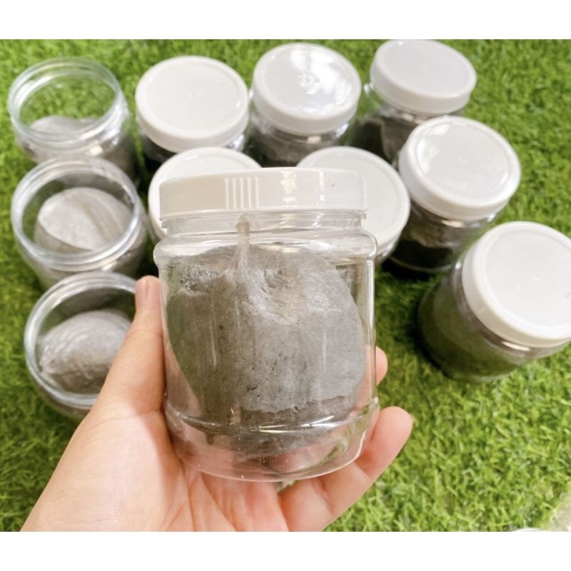 Keo bẫy chim sẻ cao cấp hũ 500g