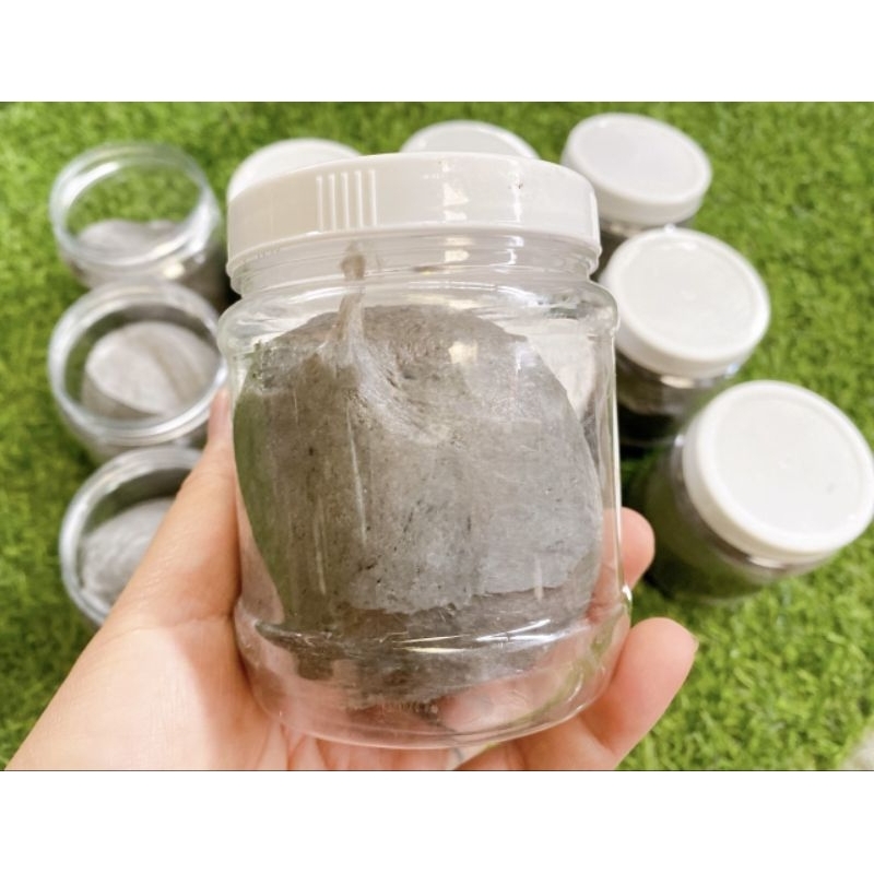 Keo bẫy chim sẻ cao cấp hũ 500g