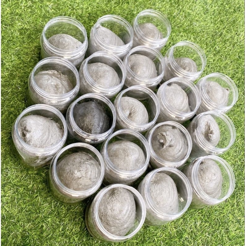 Keo bẫy chim sẻ cao cấp hũ 500g