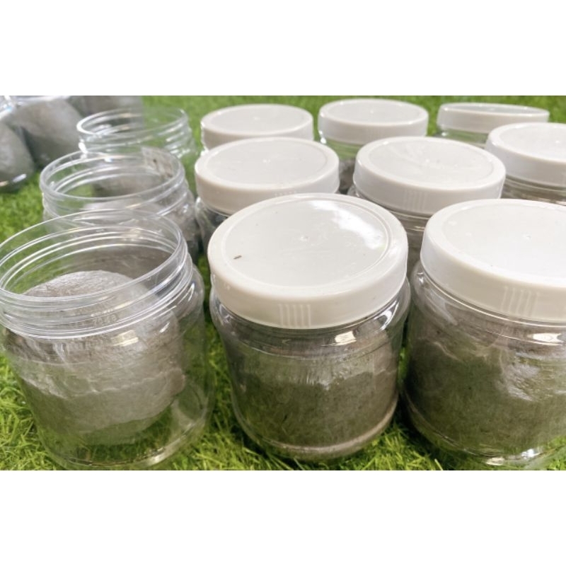 Keo bẫy chim sẻ cao cấp hũ 500g