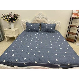 Bộ ga trần bông + 2 vỏ gối trần bông cotton poly m2/m6/m8