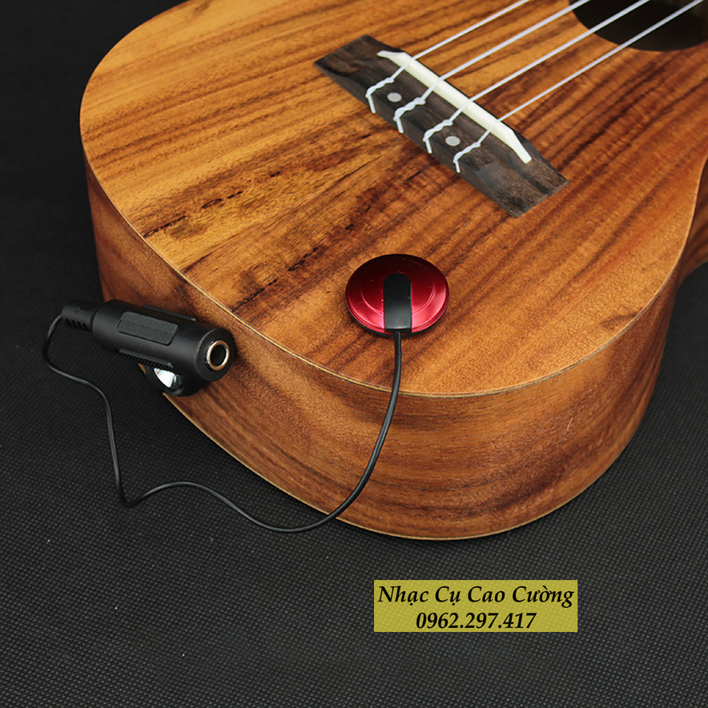 Mic Cho Đàn Guitar, Nhị, Bầu...