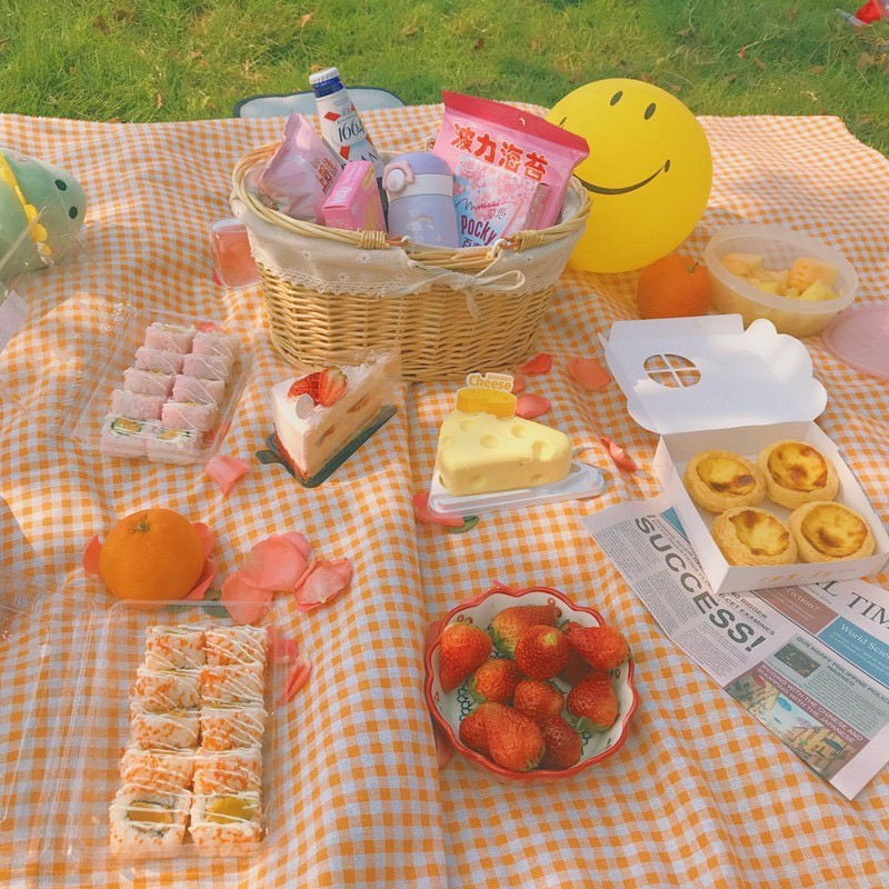 Thảm dã ngoại, du lịch, picnic cao cấp - Chống thấm nước, họa tiết caro, gấp gọn tiện lợi