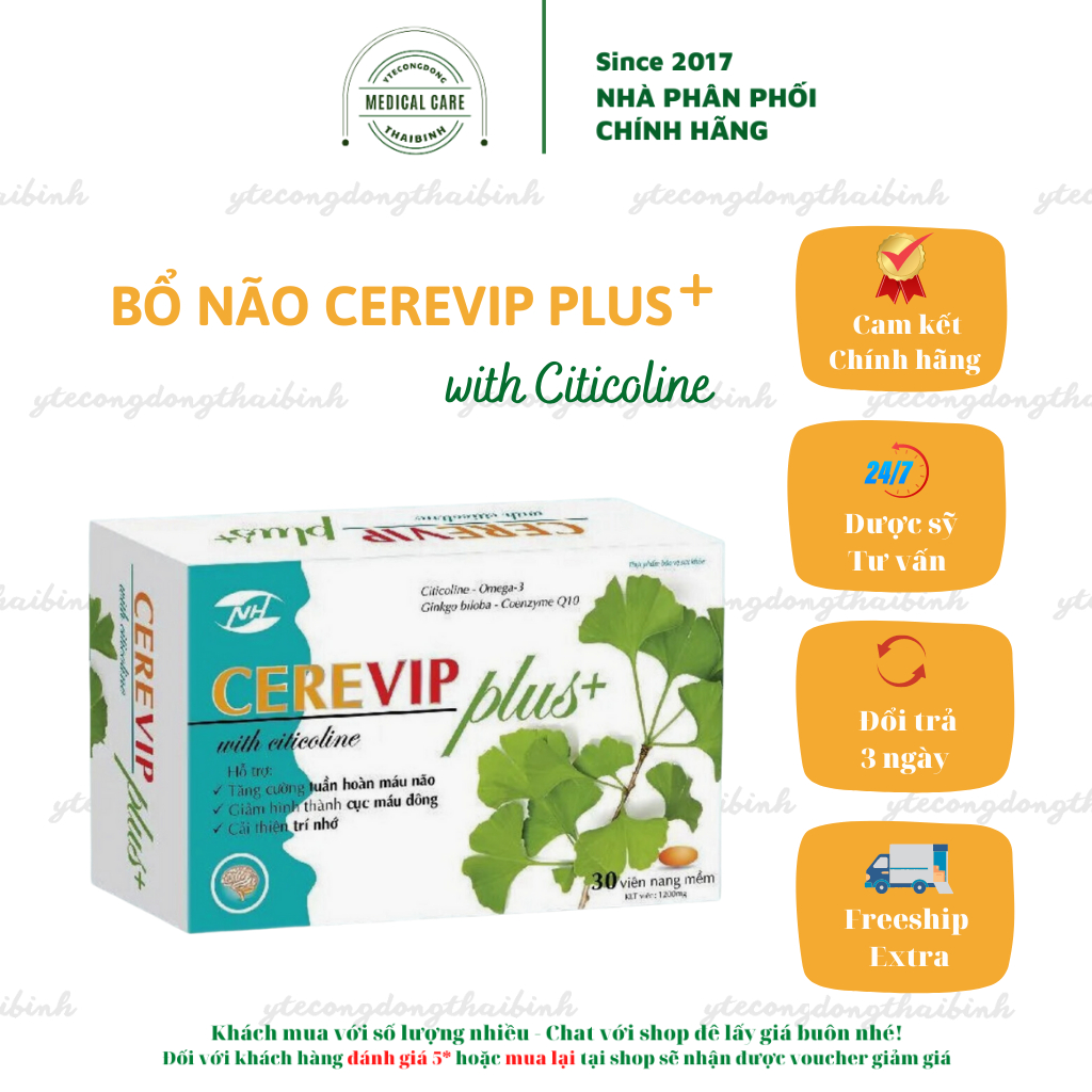 Bổ não CEREVIP PLUS tuần hoàn não giảm đau đầu hoa mắt chóng mặt ù tai giảm trí nhớ suy nhược thần kinh giúp tập trung