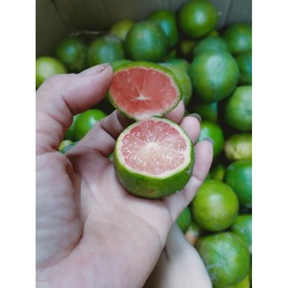 chanh đào hữu cơ nhà vườn