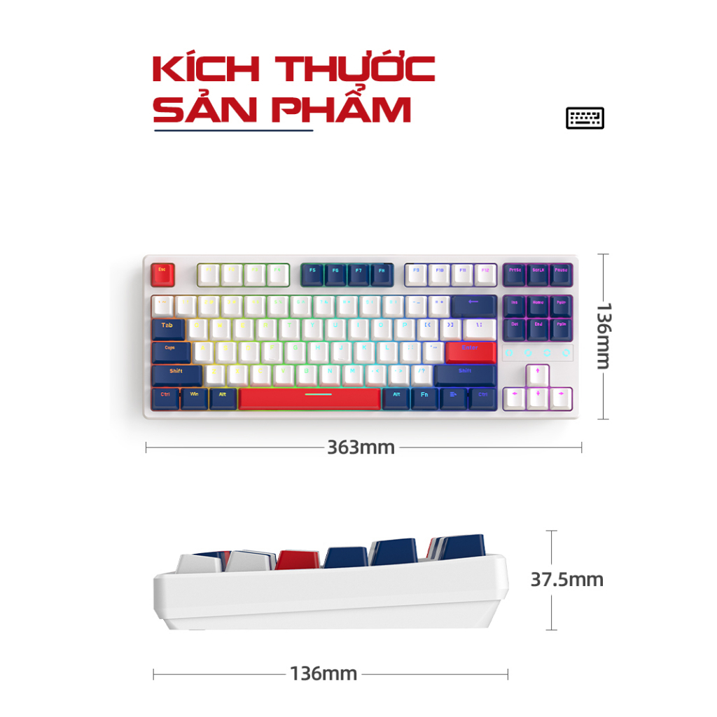 Bàn phím cơ K87 Ziyou - Hotswap - LED RGB - Red swtich - Kết nối không dây 3 chế độ - Foam tiêu âm