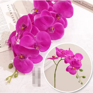 Lan hồ điệp giả cao su 9 bông