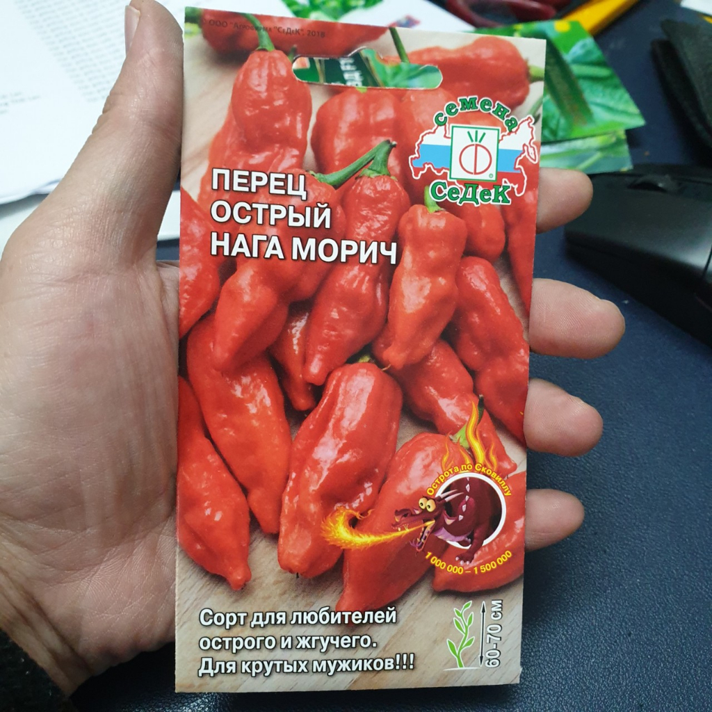 Hạt Giống Ớt Siêu Cay Naga Morich. Hàng Nga. 6 Hạt/Gói