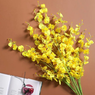 Hoa hoàng yến, Hoa lan vữ nữ trang trí decor nội thất