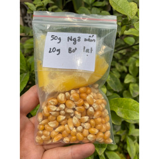 Bắp rang bơ ( Set cả ngô+ bơ gói 120gr)