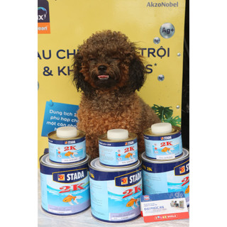 Sơn lót 2 thành phần STADA dành cho kim loại chung 1KG