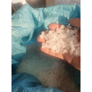 Muối hột sát khuẩn, trị bệnh hồ cá cảnh