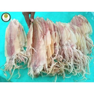 Khô Mực Câu Phú Quốc (12-14 con/kg)