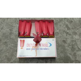 QUẢ CẦU ĐÁ TIÊU CHUẨN THI ĐẤU ĐLS