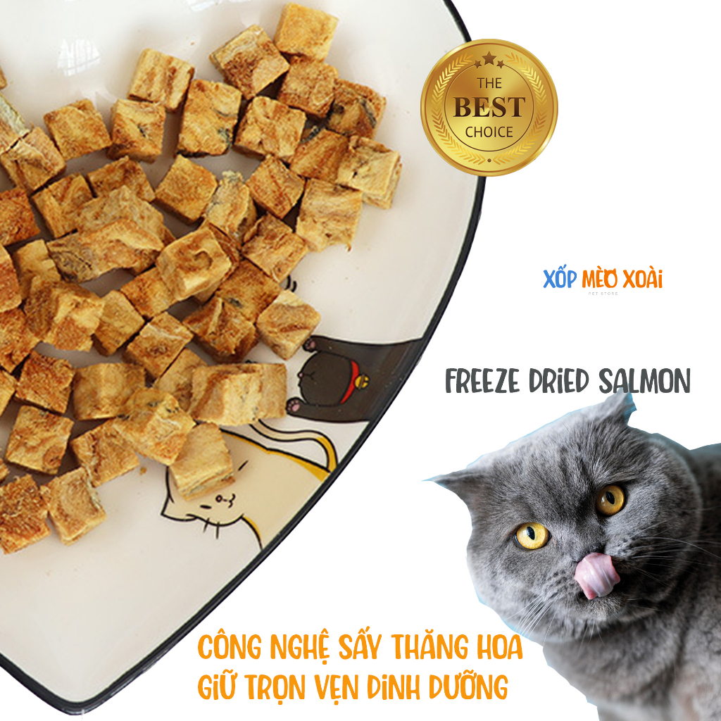 Cá hồi sấy cho mèo - loại chất lượng 50gram - Cá hồi sấy công nghệ sấy thăng hoa từ -40 độ đến +40 độ
