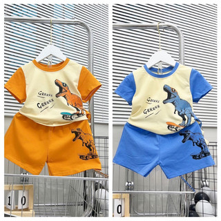 Bộ cotton bé trai hình khủng long đáng yêu