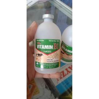 Vitamin B1 dạng nước 100ml