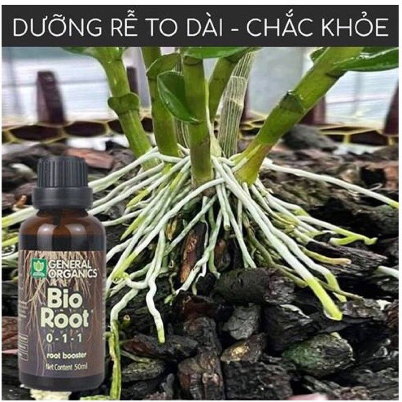 Chế phẩm hữu cơ Kích rễ cực mạnh Bio Root 0-1-1 (50ml) 🌱