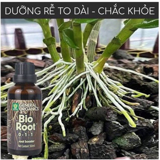 Chế phẩm hữu cơ kích rễ cực mạnh bio root 0-1-1 🌱