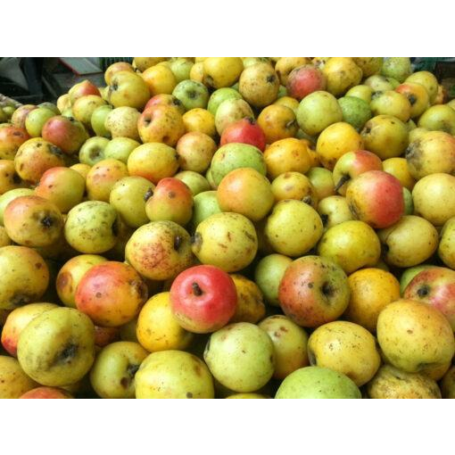 1kg táo mèo khô Tây Bắc loại 1 thái lát khô sạch ngâm rượu hoặc sắc nước uống