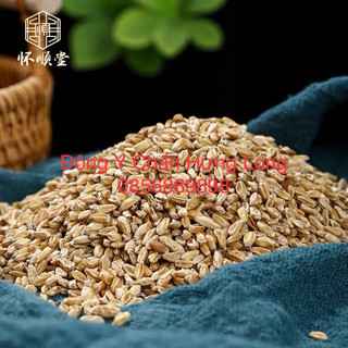 Phù tiểu mạch 100g - đông y chấn hưng long