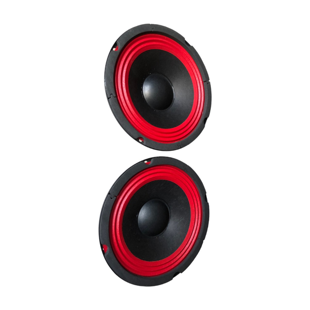 Loa trung 16cm từ 100mm coil 29mm