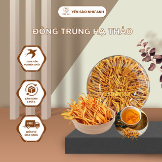 Đông trùng hạ thảo sấy thăng hoa. Đông trùng hạ thảo khô sợi to ngon hàng cao cấp, Yến Sào Như Anh 10g