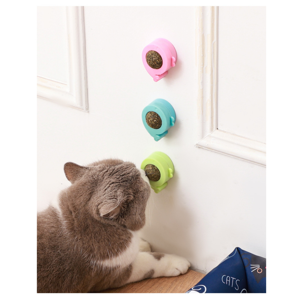 CỎ BẠC HÀ VIÊN DÁN TƯỜNG CHO MÈO - CATNIP DÁN TƯỜNG ỐC SÊN