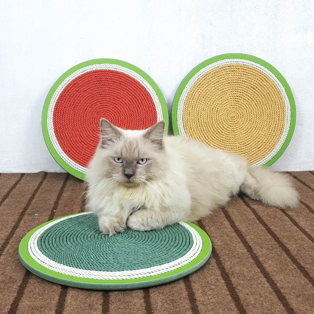 Bàn cào móng thừng bền sạch CATCA cho mèo cào - BCM Lion nghiêng